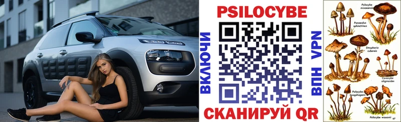 Купить  Карабулак  Псилоцибиновые грибы мухоморы 